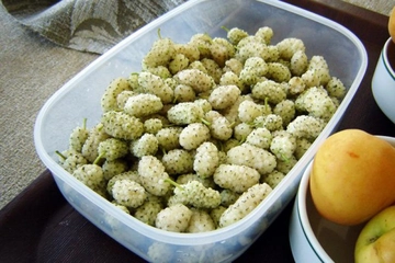 Dut Pekmezi Besin Değeri